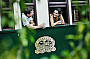 KSR Gold Class - Heritage Green Carriages